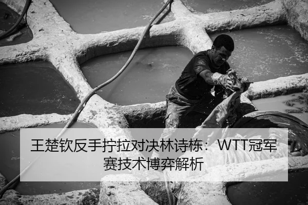 王楚钦反手拧拉对决林诗栋：WTT冠军赛技术博弈解析