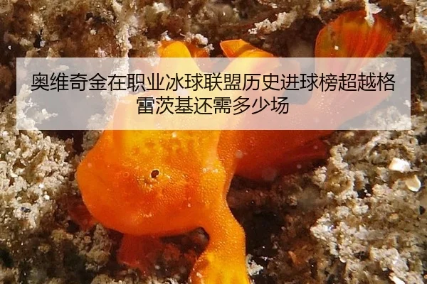 奥维奇金在职业冰球联盟历史进球榜超越格雷茨基还需多少场